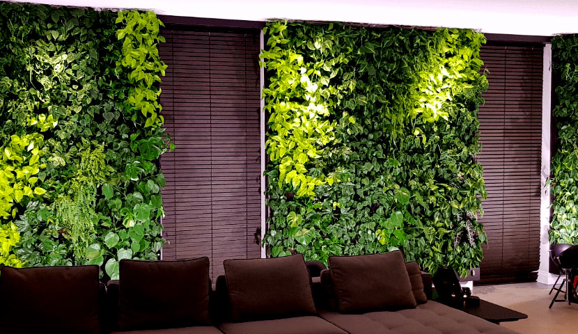 مزایای استفاده از گرین وال